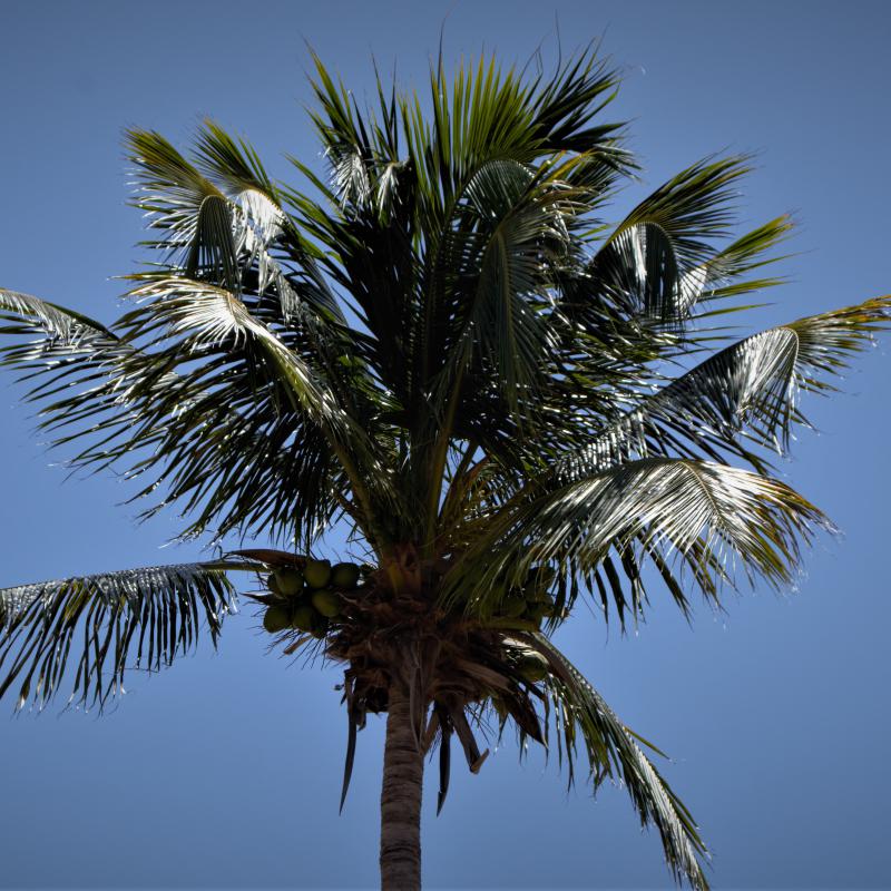 fotogallerie